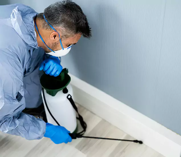 Reliable Termite Cost Experts in Atlanta, GA