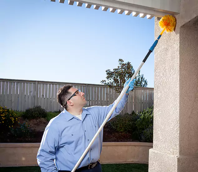 Your Trusted Wasp Removal Company in Atlanta, GA