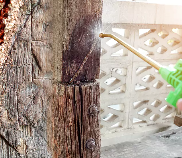 About Wood Termite Treatment Services in Atlanta, GA