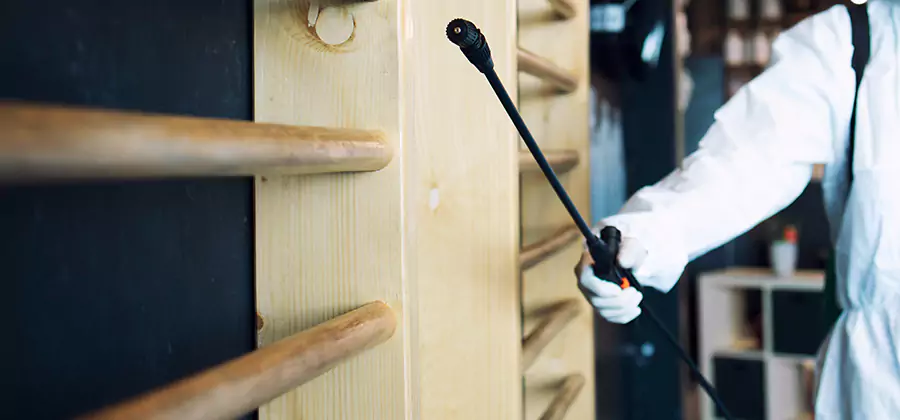 Attic Wood Termite Treatment in Atlanta