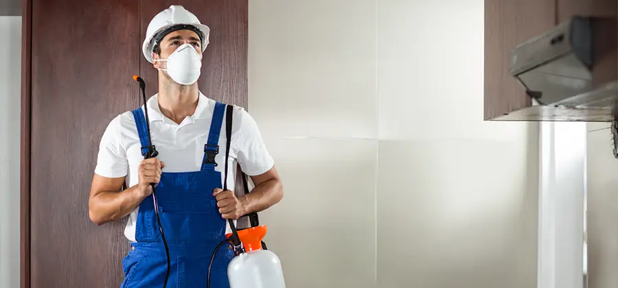 Per Room Bed Bug Cost in Atlanta
