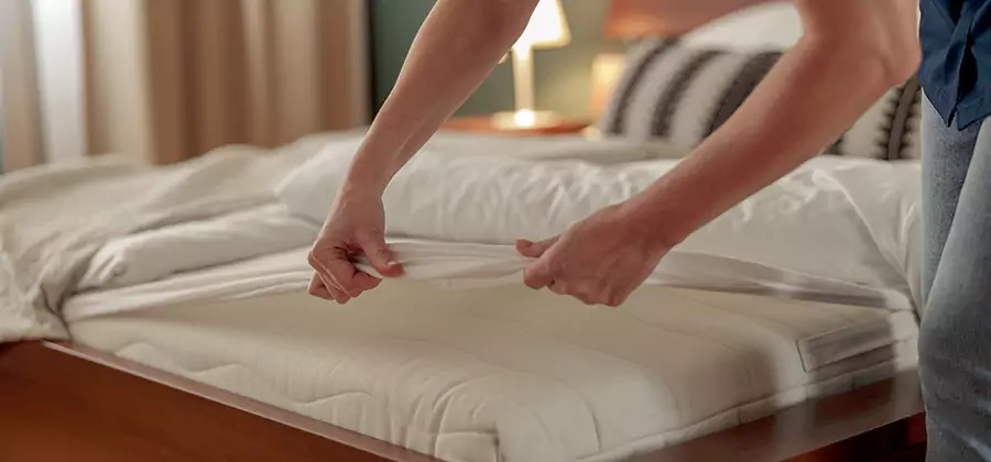 Bed Bug Extermination Services in Atlanta