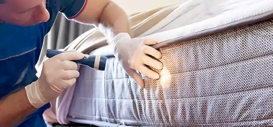 Residential Bed Bug Treatment Cost in Atlanta