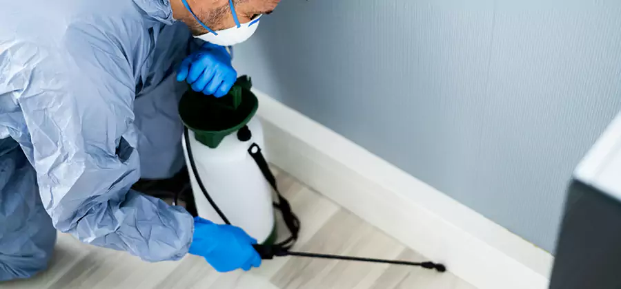 Fumigate Apartment Roaches in Atlanta