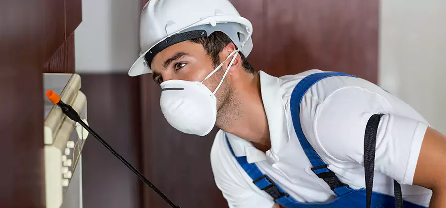Injection Foam Treatment for Drywood Termites in Atlanta