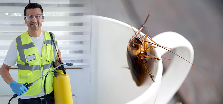 German Roach Infestation Treatment Atlanta