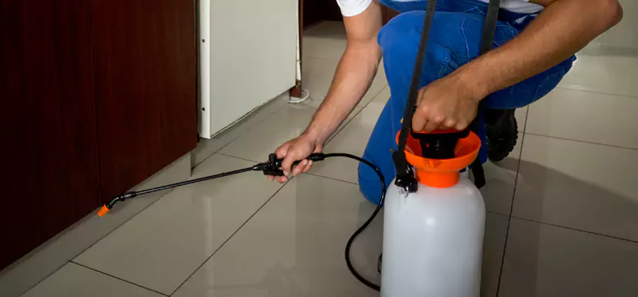 Indoor Mosquito Treatment in Atlanta