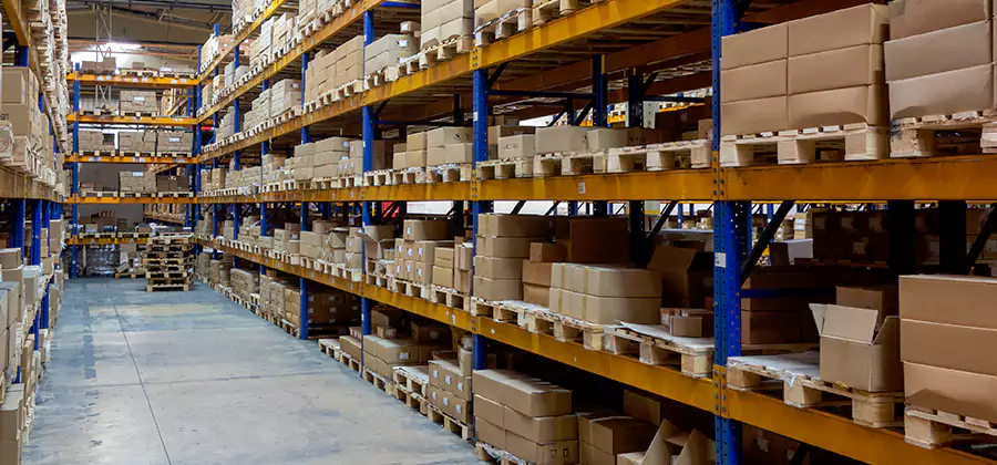 Warehouse Pest Control in Atlanta