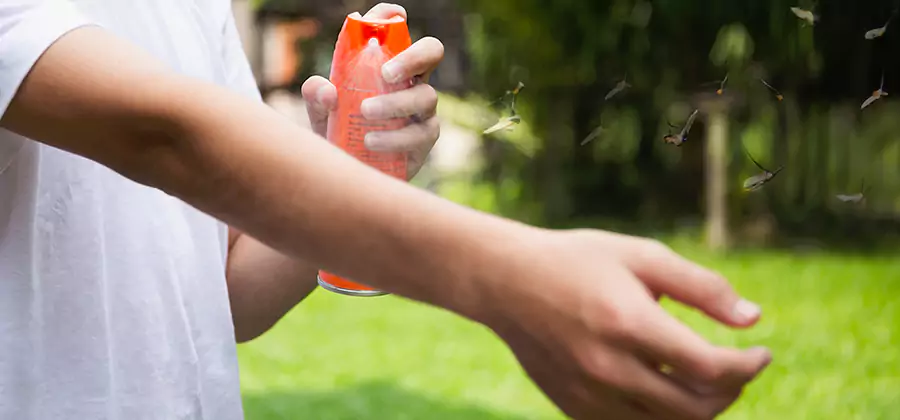 Mosquito and Tick Control Services in Atlanta