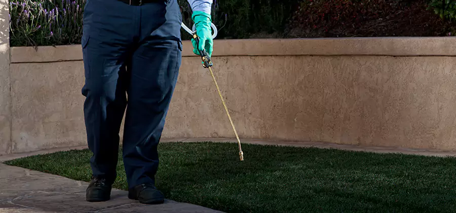 Soil Treatment for New Construction Termites in Atlanta