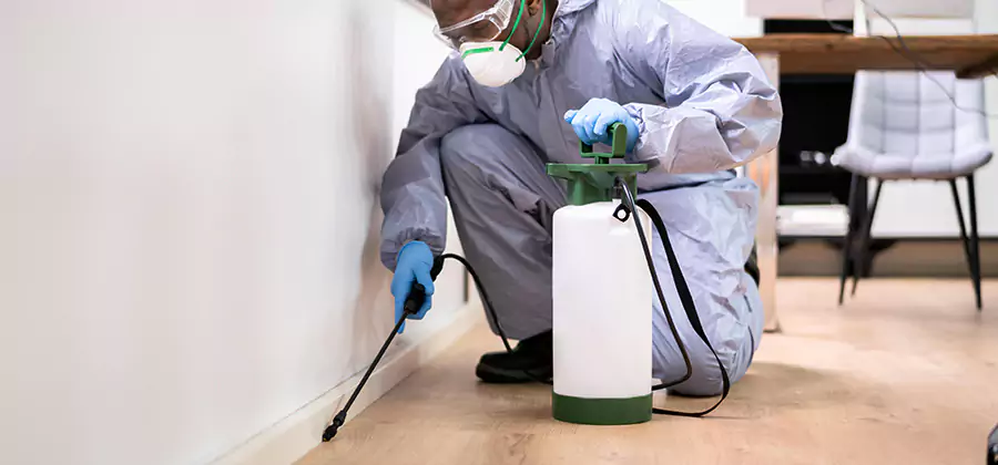 No Tent Termite Extermination With Electric Tool in Atlanta