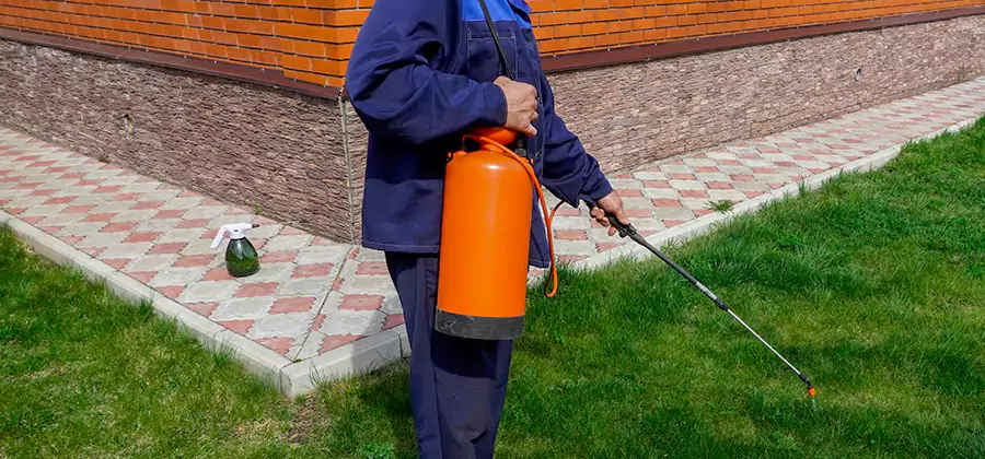 Non Toxic Termite Treatment in Atlanta