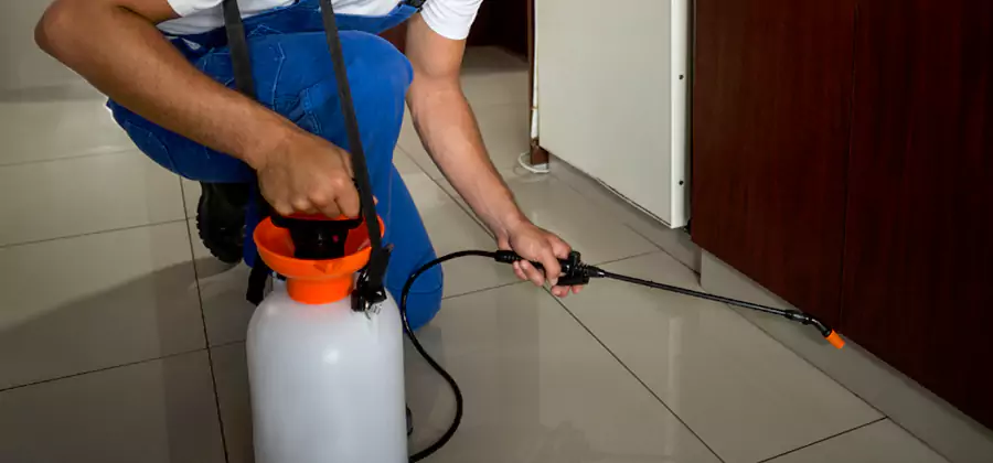 One Time Termite Control in Atlanta