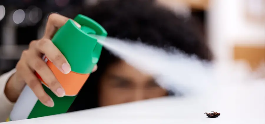 Child Safe Bed Bug Treatment in Atlanta