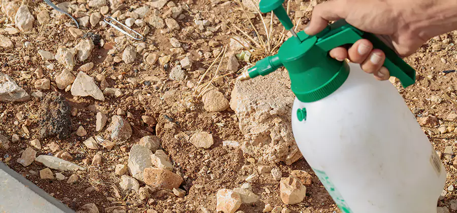 Heat Treatment Termite Cost in Atlanta
