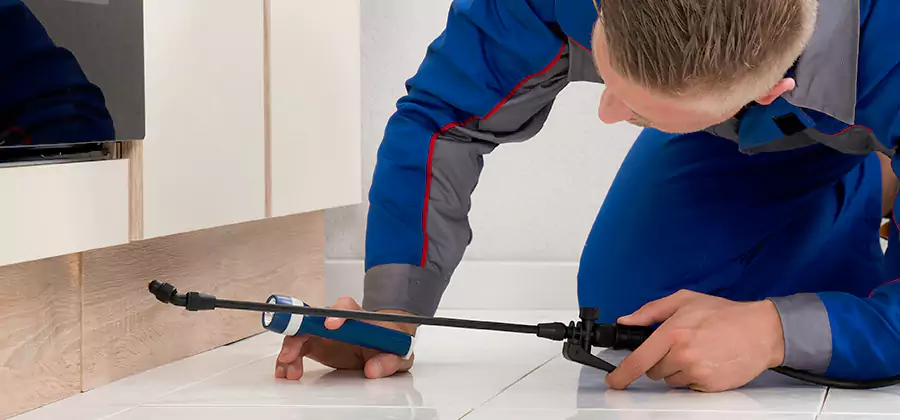 Moisture Treatment For Termite Control Service in Atlanta