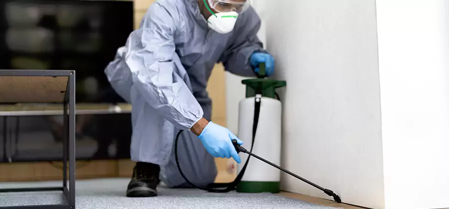 Wood Protection Termite Treatment in Atlanta