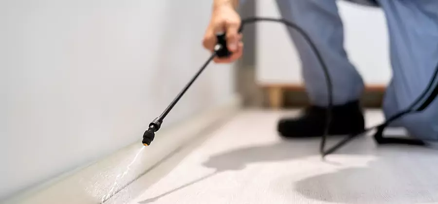 Direct Termite Injection Treatment in Atlanta