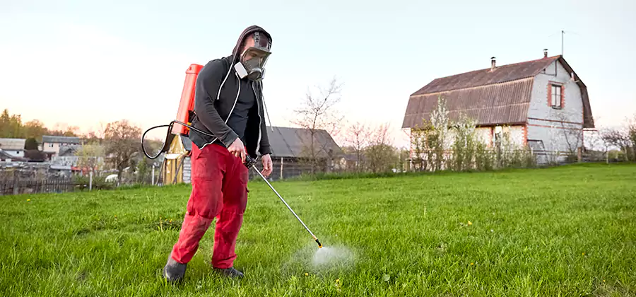 Flea and Tick Pest Control in Atlanta