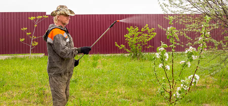 Flea and Tick Spray for Yard in Atlanta