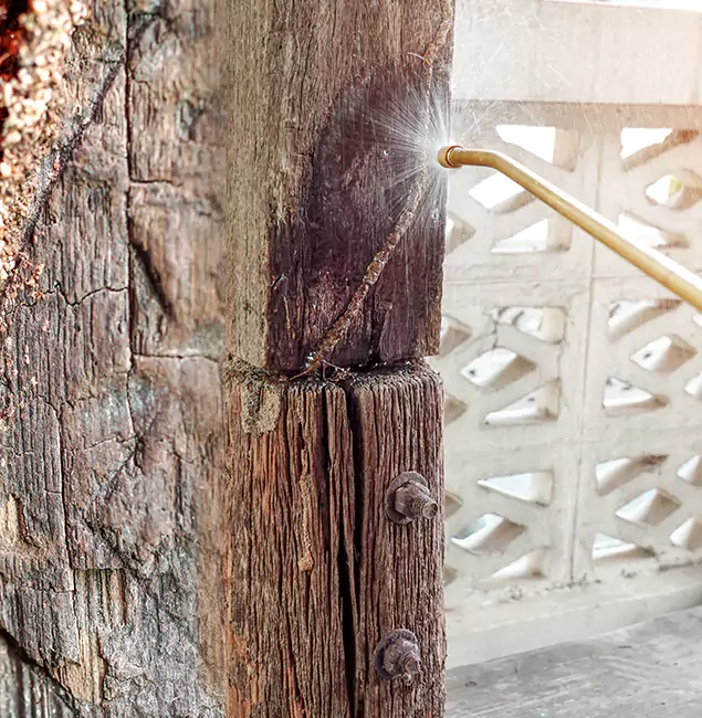 Why Choose Atlanta Pest Control Expert for Attic Termite Treatment in Atlanta, GA?