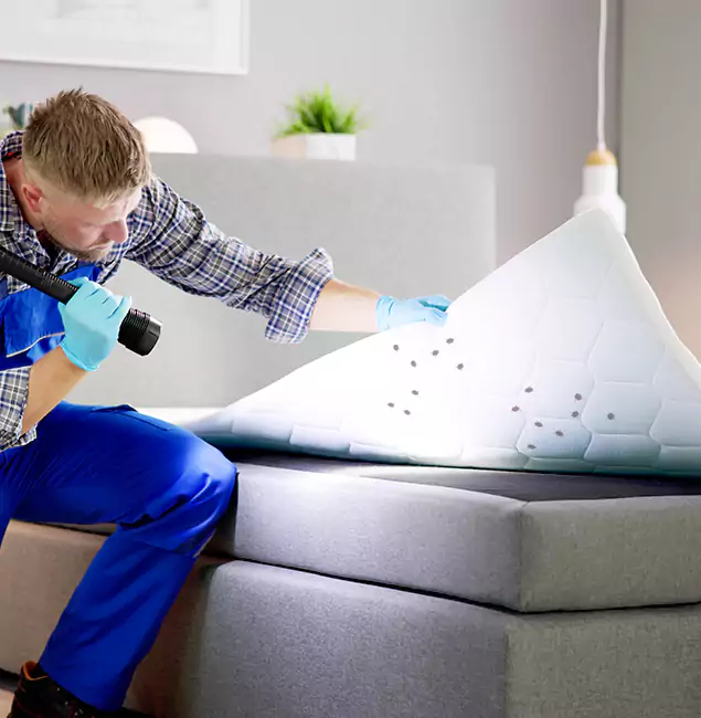 Why Choose Atlanta Pest Control Expert in Atlanta, GA?