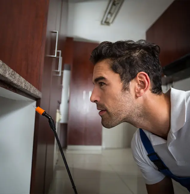 Why Choose Atlanta Pest Control Expert for Bed Bug Removal Cost in Atlanta, GA?