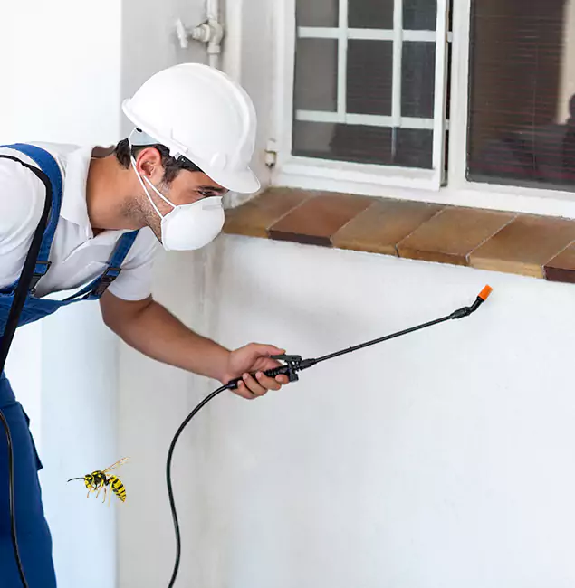 Why Atlanta Property Owners Choose Atlanta Pest Control Expert for Bee Nest Removal?