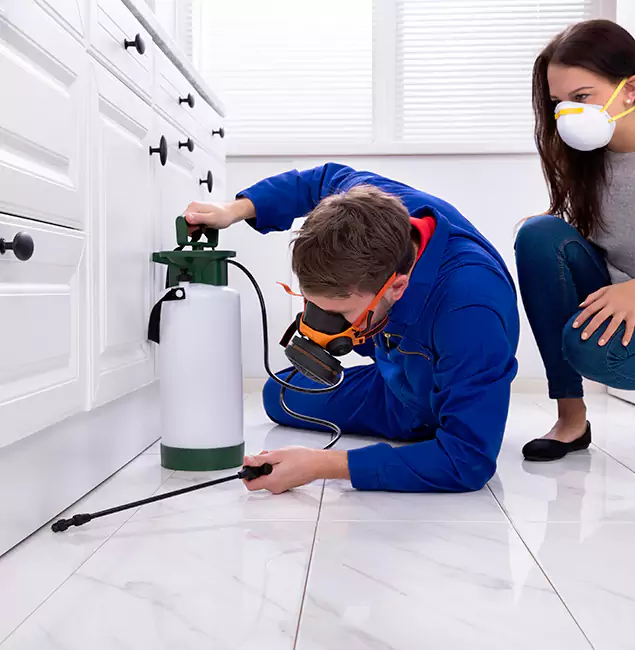 Why Choose Atlanta Pest Control Expert in Atlanta, GA?