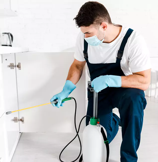 Why Choose Atlanta Pest Control Expert for Emergency Pest Control in Atlanta?