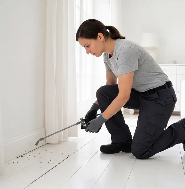Why Atlanta, GA Property Owners Trust Atlanta Pest Control Expert for Fire Ant Control?