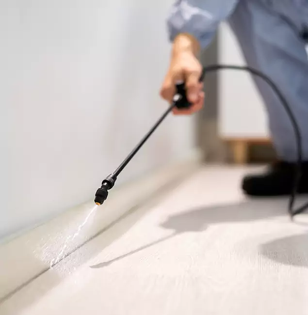 Why Choose Atlanta Pest Control Expert for Termite Treatment in Atlanta, GA?