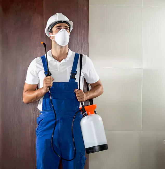 Why Choose Us for Heat Treatment for Termites in Atlanta, GA?