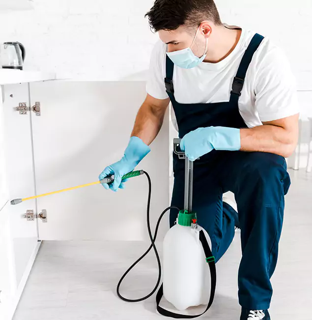 Why Choose Atlanta Pest Control Expert for Indoor Pest Control in Atlanta, GA?