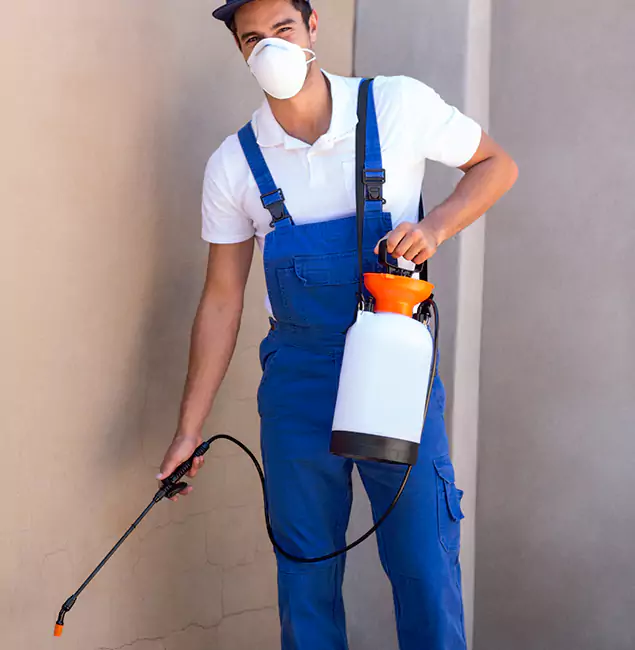 What Makes Atlanta Pest Control Expert the Right Choice in Atlanta, GA?