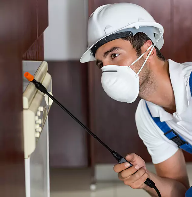 Why Atlanta Homeowners Rely on Atlanta Pest Control Expert for Tick Treatment?