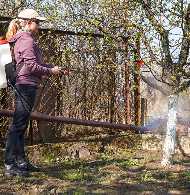 Why Atlanta Homeowners Choose Atlanta Pest Control Expert for Mosquito Abatement?