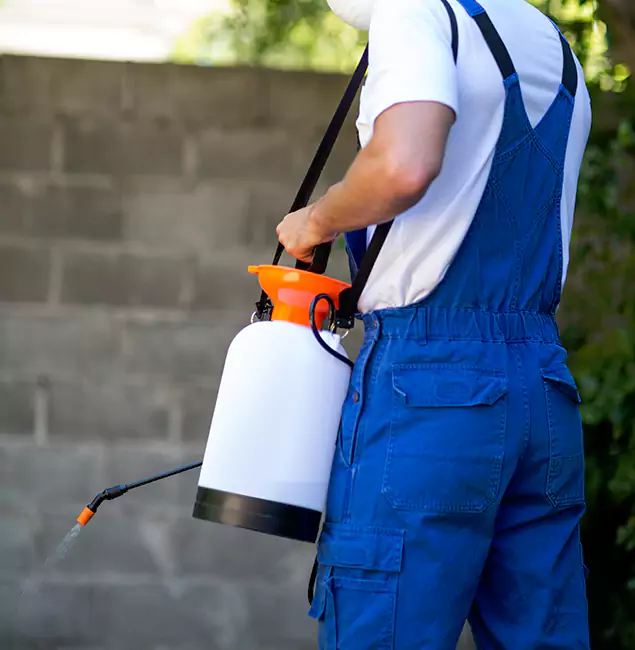 Why Atlanta Homeowners Rely on Atlanta Pest Control Expert for Mosquito Control?