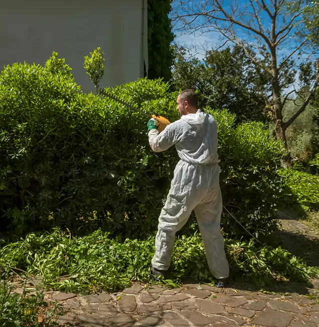 Why Atlanta Pest Control Expert Leads Mosquito Control in Atlanta, GA?