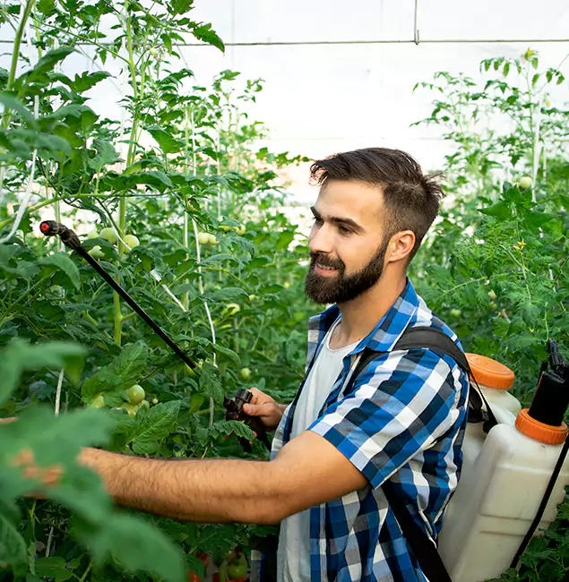 Why Atlanta Homeowners Choose Atlanta Pest Control Expert for Mosquito Spraying?
