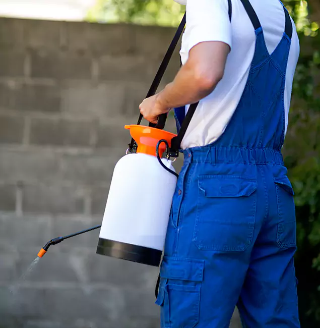 Why Atlanta Pest Control Expert Delivers the Best Mosquito Control in Atlanta, GA?