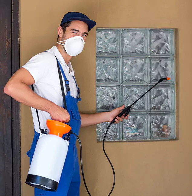 Why Atlanta Pest Control Expert Provides the Best Mosquito Control for Yard Properties in Atlanta, GA?