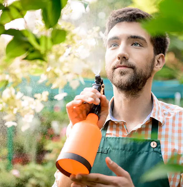 Why Atlanta Homeowners Call Atlanta Pest Control Expert for Mosquitoes in House?