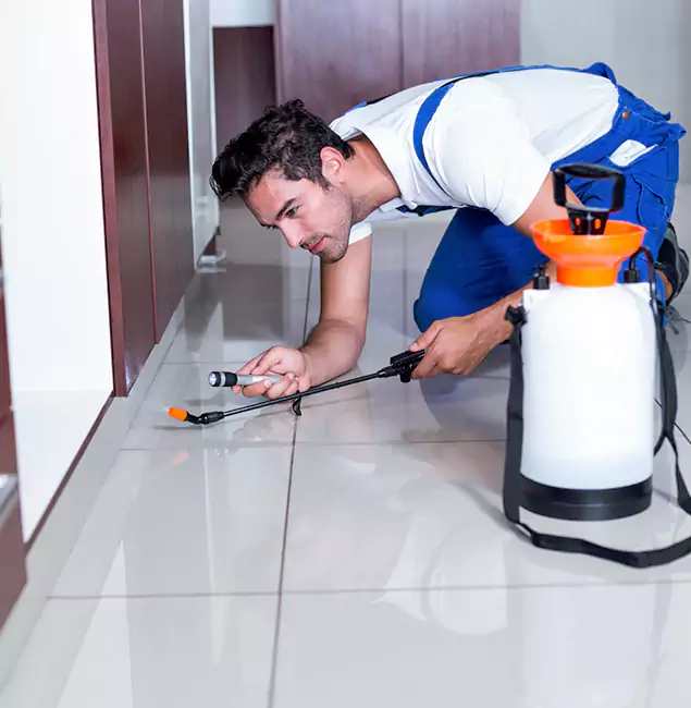 Why Atlanta Pest Control Expert Is the Proven Choice in Atlanta, GA?