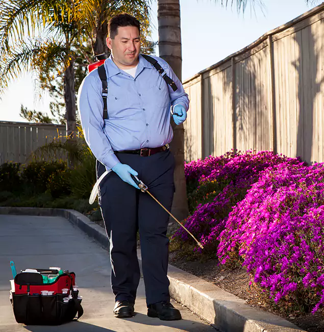 Why Choose Atlanta Pest Control Expert in Atlanta, GA?