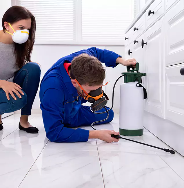 Why Choose Atlanta Pest Control Expert in Atlanta, GA?
