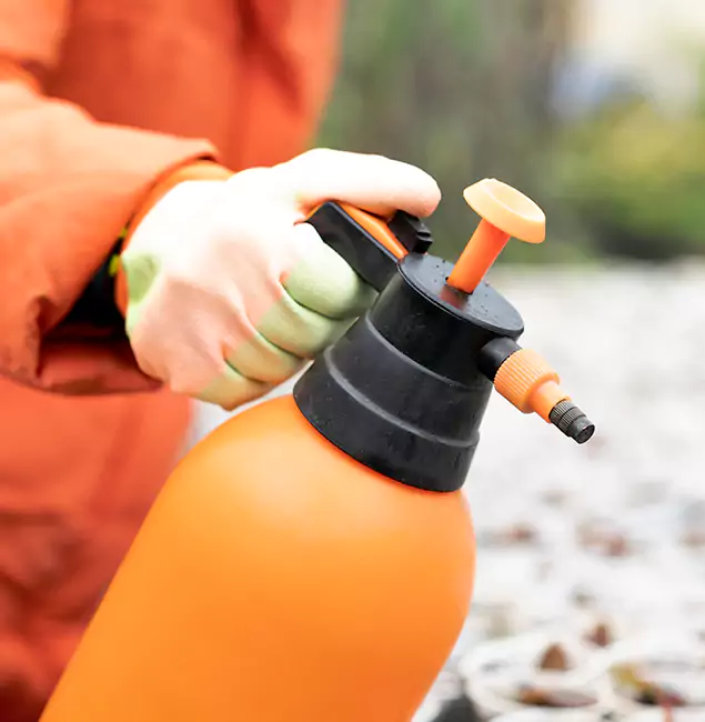 Why Choose Atlanta Pest Control Expert for Orange Termite Treatment in Atlanta, GA?
