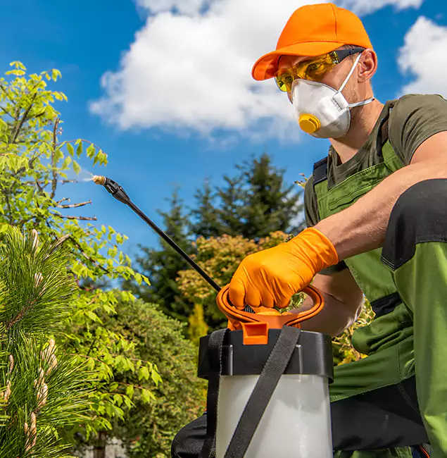 Why Choose Atlanta Pest Control Expert for Outdoor Pest Control in Atlanta, GA?