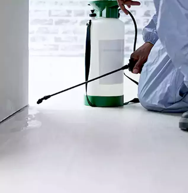 Why Choose Atlanta Pest Control Expert for Rat Exterminator in Atlanta, GA?