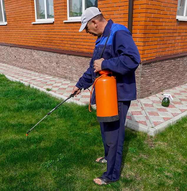 Why Choose Atlanta Pest Control Expert for Residential Pest Control in Atlanta, GA?